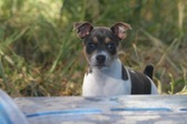 Enlarge photo 16