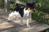 <b>Bailey</b>