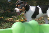 Enlarge photo 9