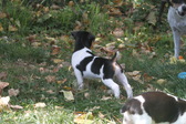 Enlarge photo 6