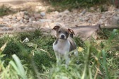 Enlarge photo 4