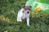 Enlarge photo 19