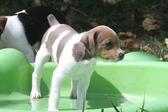 Enlarge photo 15