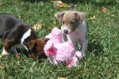 Enlarge photo 12
