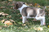 Enlarge photo 10