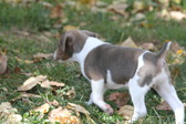 Enlarge photo 7