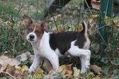 Enlarge photo 10