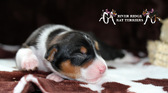 Enlarge photo 22