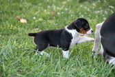 Enlarge photo 15