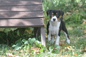 Enlarge photo 13