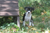 Enlarge photo 12