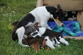 Enlarge photo 10