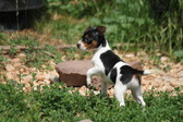 Enlarge photo 24