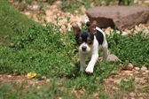Enlarge photo 22