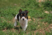 Enlarge photo 20