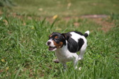 Enlarge photo 19