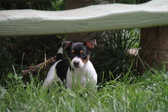 Enlarge photo 16