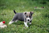 Enlarge photo 24