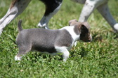 Enlarge photo 19