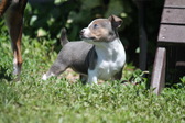 Enlarge photo 16