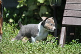 Enlarge photo 15