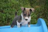 Enlarge photo 9