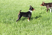 Enlarge photo 14