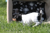 Enlarge photo 36