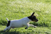 Enlarge photo 33
