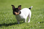 Enlarge photo 31