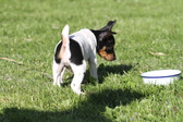 Enlarge photo 32