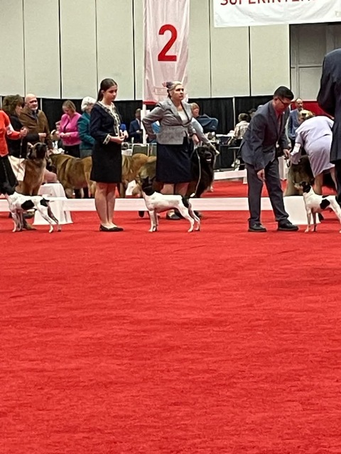 Return to Album