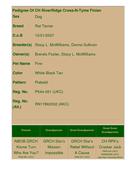 Enlarge HTML Document 2
