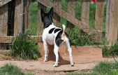 Enlarge photo 14