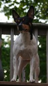 Enlarge photo 19