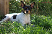 Enlarge photo 15