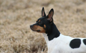 Enlarge photo 23
