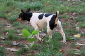 Enlarge photo 9