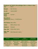 Enlarge HTML Document 2