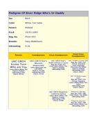 Enlarge HTML Document 15