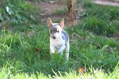 Enlarge photo 23