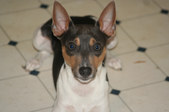 Enlarge photo 12