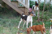 Enlarge photo 10