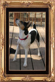 Enlarge photo 24