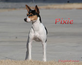 Enlarge photo 7