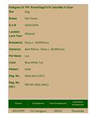 Enlarge HTML Document 2