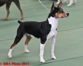 Enlarge photo 22