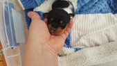 Enlarge photo 7