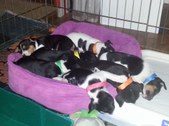 Enlarge photo 13