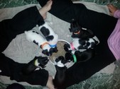 Enlarge photo 15